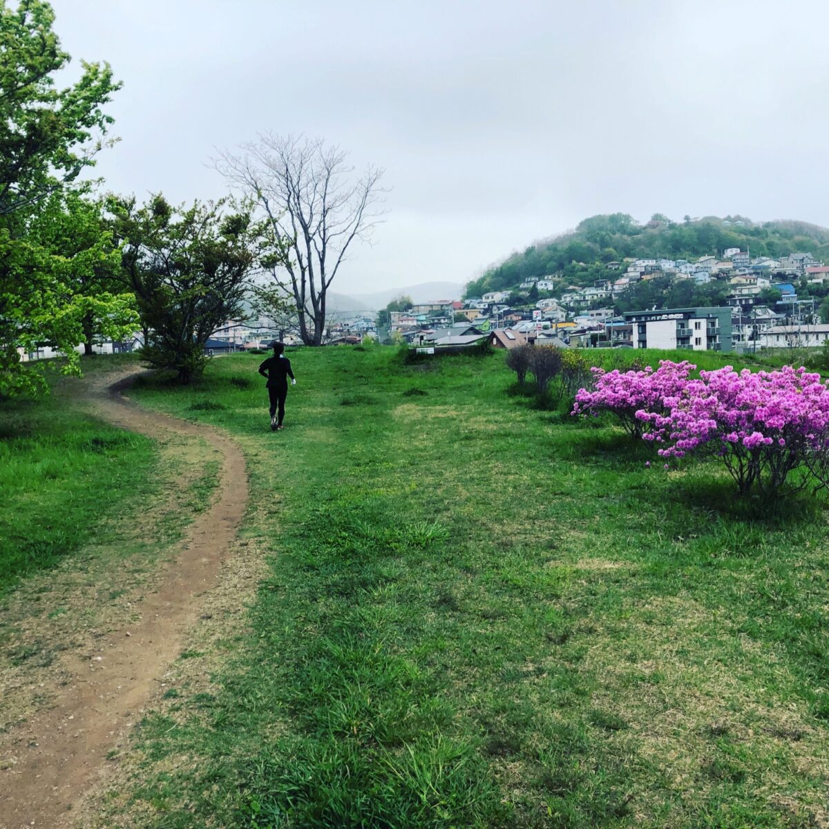 これだよこれ。 これだよこれ。