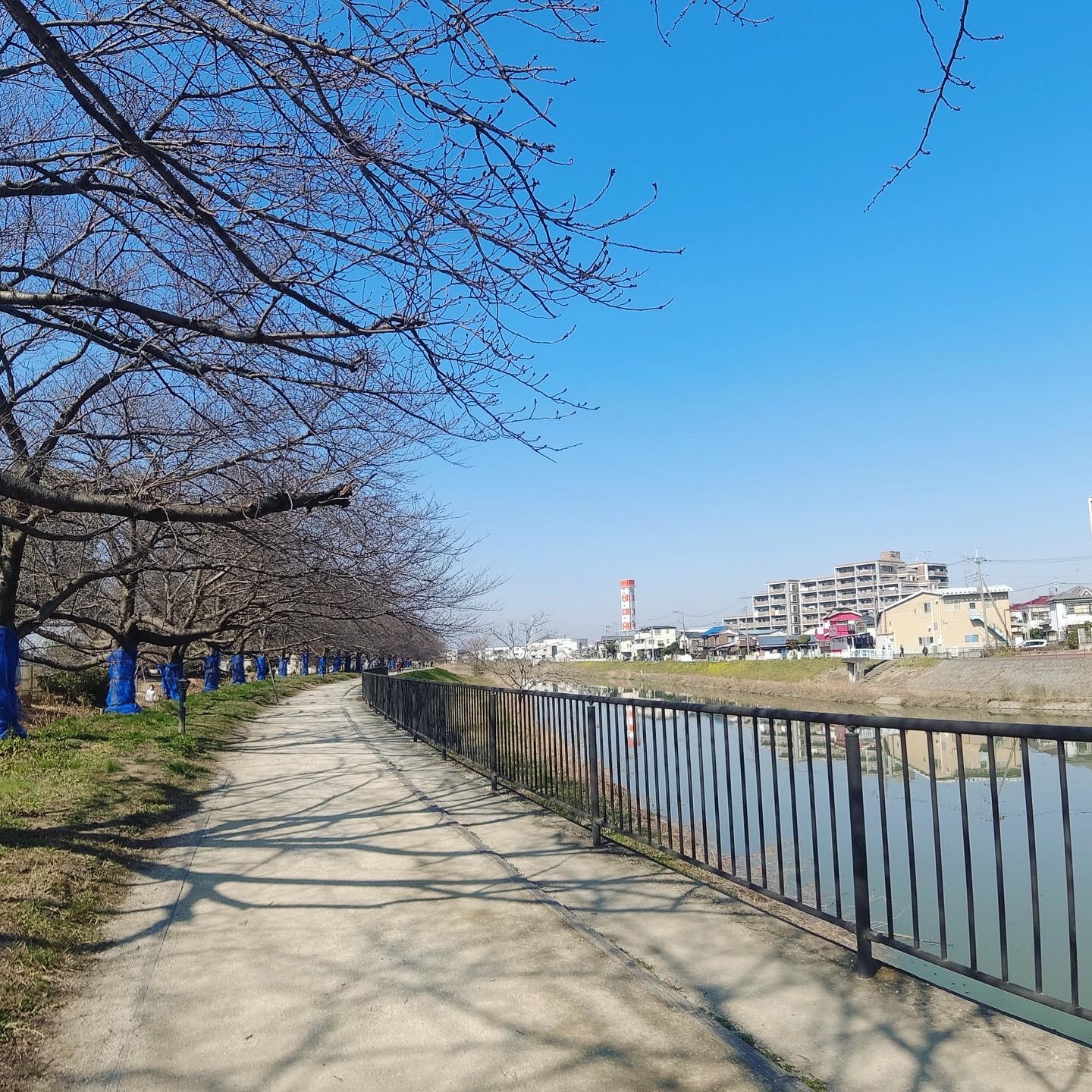 ここは未舗装というかコンクリの上にジャリ敷いた感じ