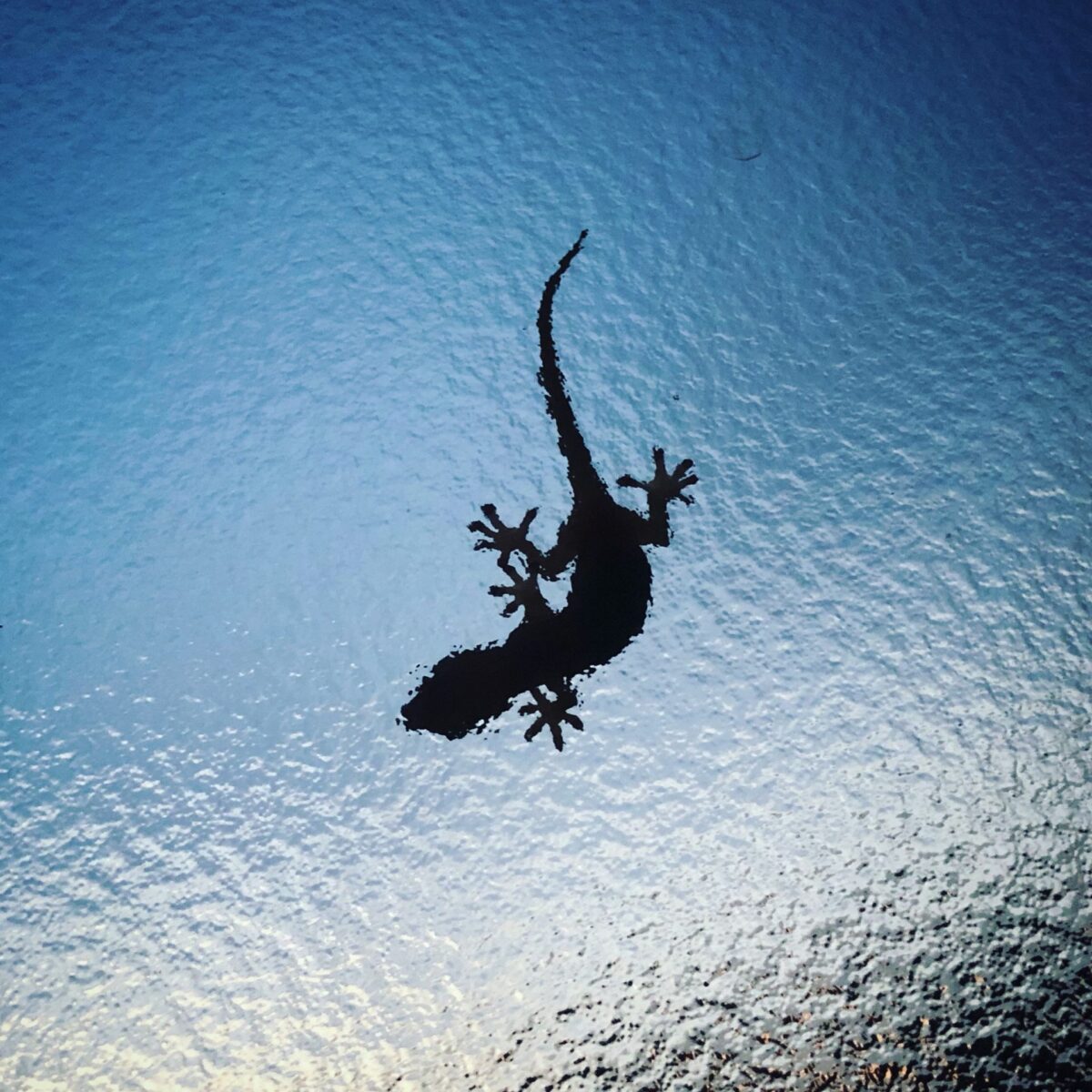 オートモード オートモード