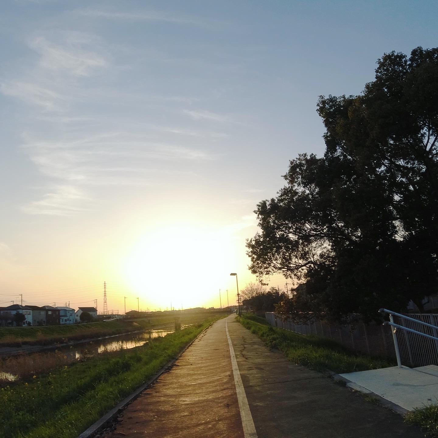 夕日に向かってきた​