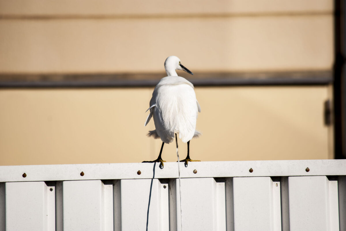 ベース、ベース、ベース。 ベース、ベース、ベース。