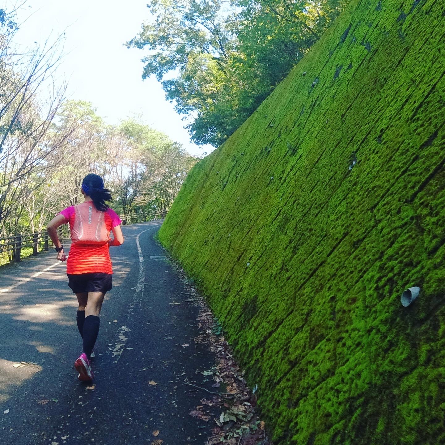 山なのでアップダウンは激しい。