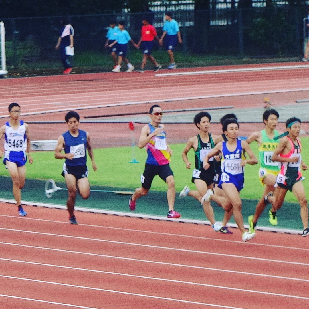 多くのウサギ 多くのウサギ