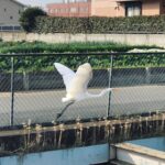 優しく置くように