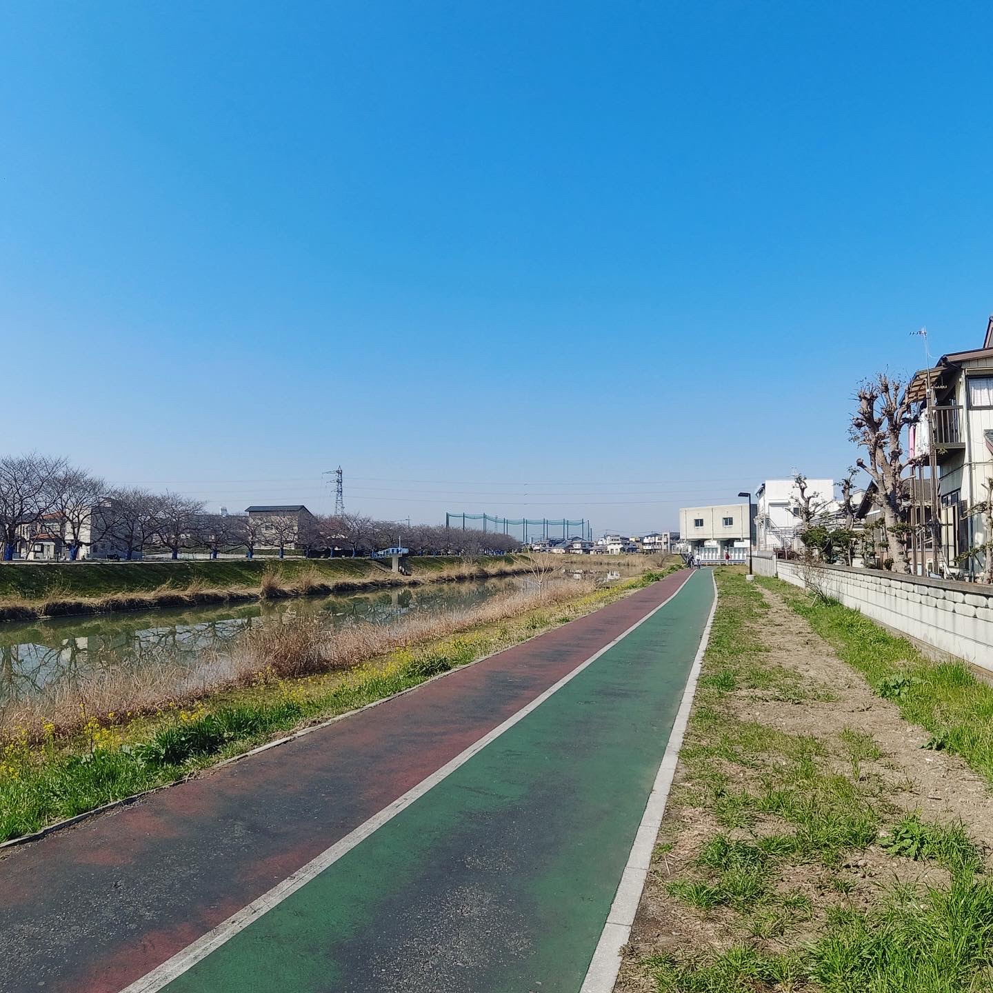 距離表示付きの場所もある。路面は硬いけど。