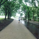 真逆のアプローチ