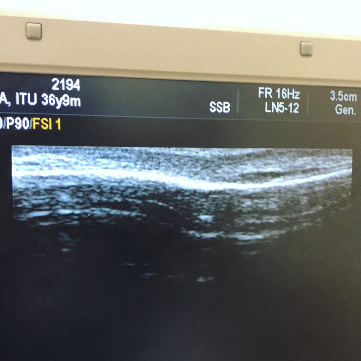 盛り上がってる