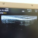 盛り上がってる