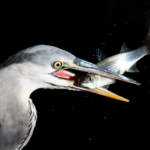 負の皮算用 負の皮算用