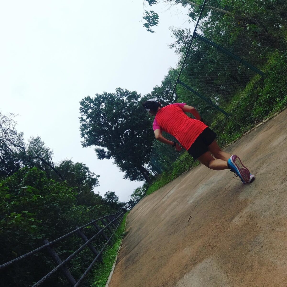 今日はどこに行こうか