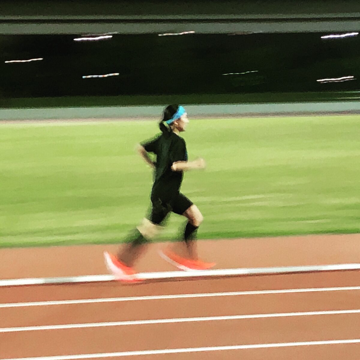 イランコト イランコト