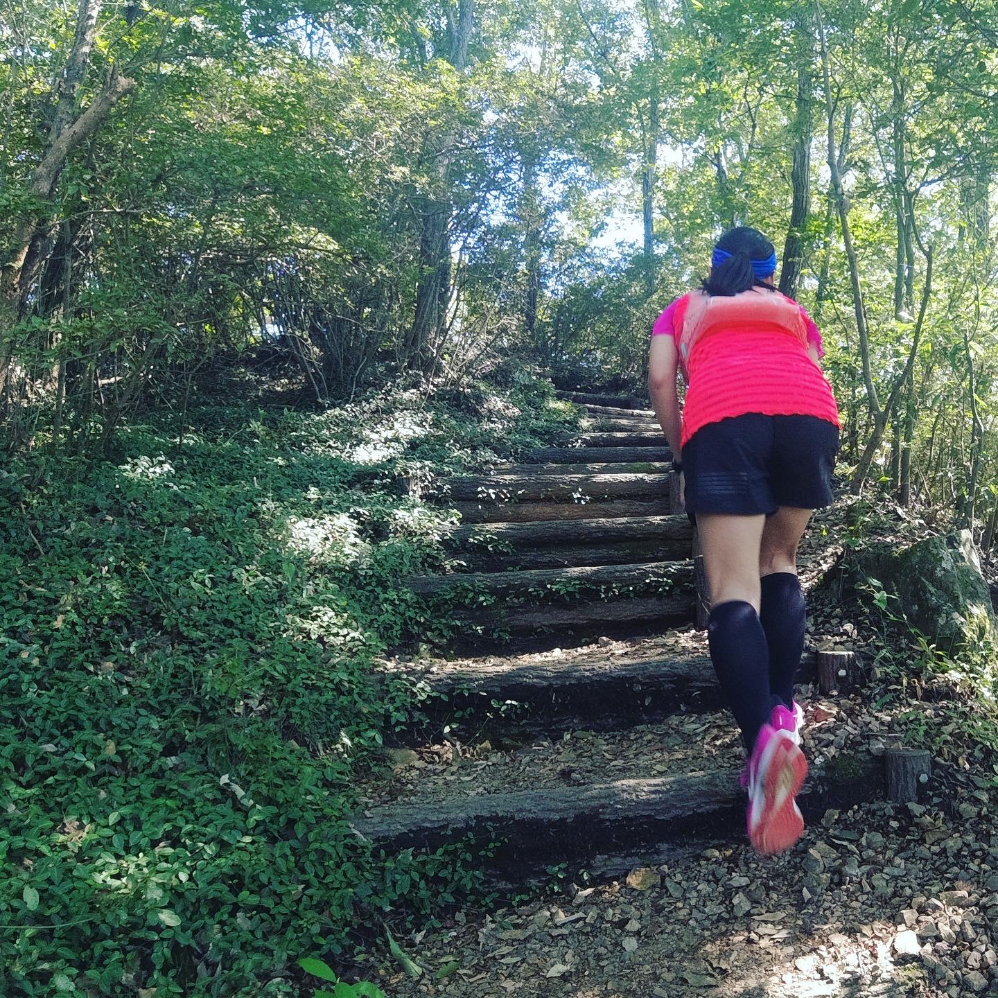 階段(もう走れてない)