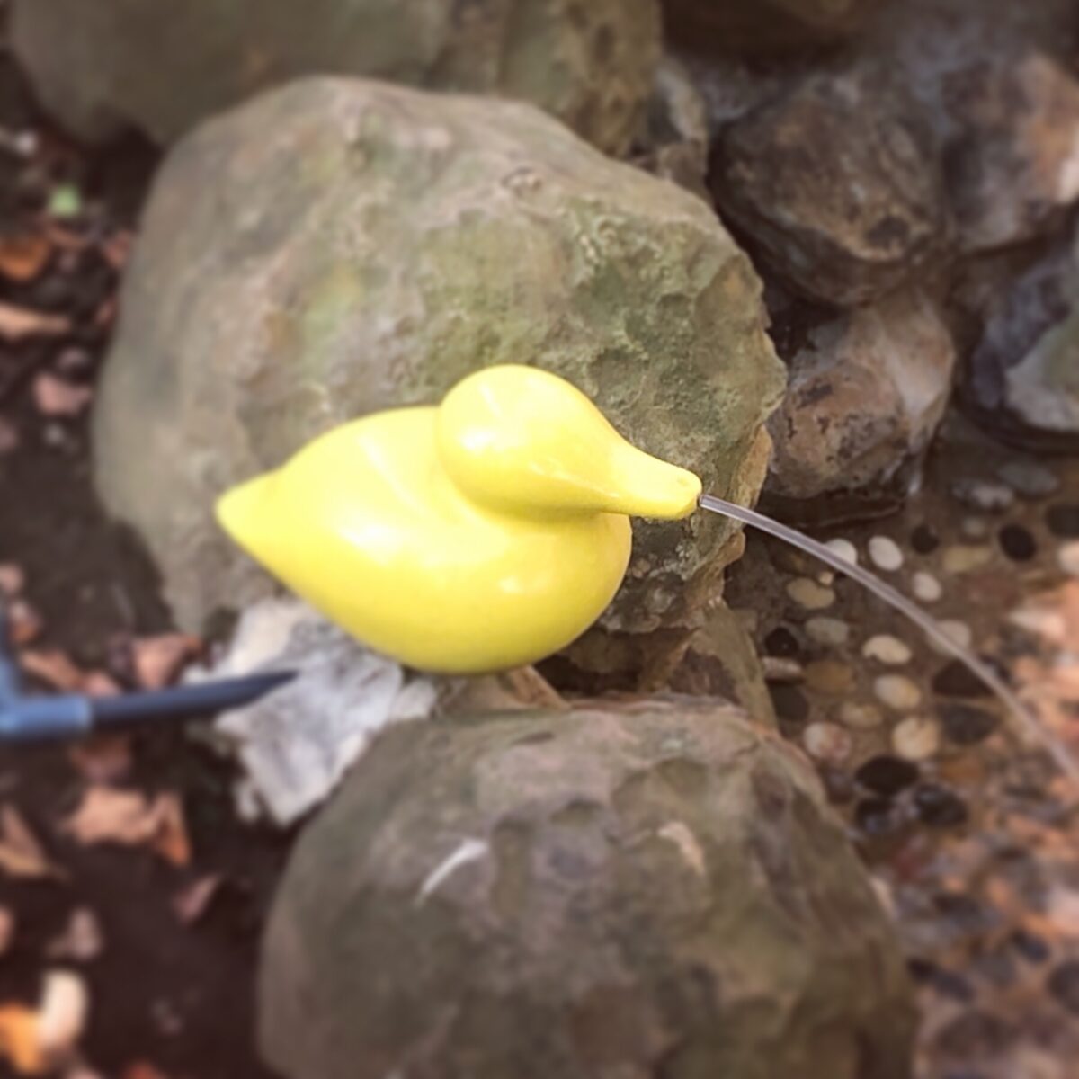 ぴゅーーーーー ぴゅーーーーー