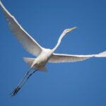 キツさと達成感と キツさと達成感と