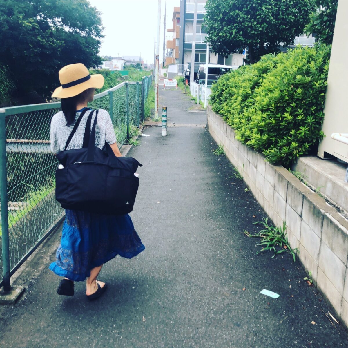 太陽を求めて 太陽を求めて