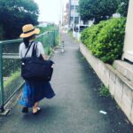 太陽を求めて 太陽を求めて