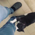 いつもと違うなにか