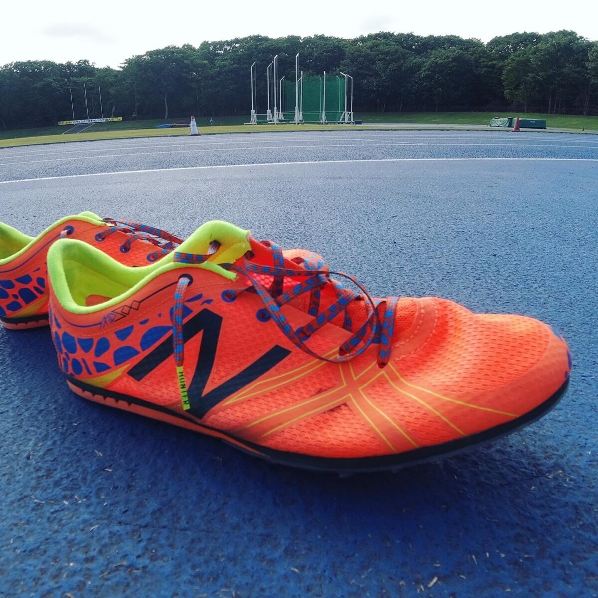 ドクにやられたドクガエル ドクにやられたドクガエル