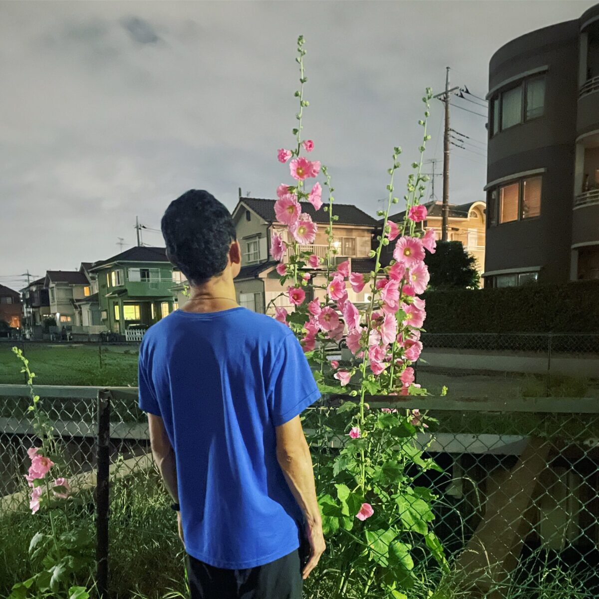 うそEASY うそEASY