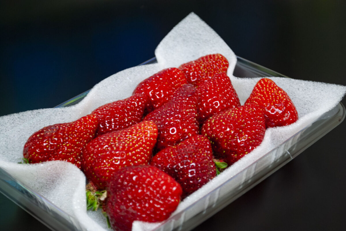 モノにしたい モノにしたい