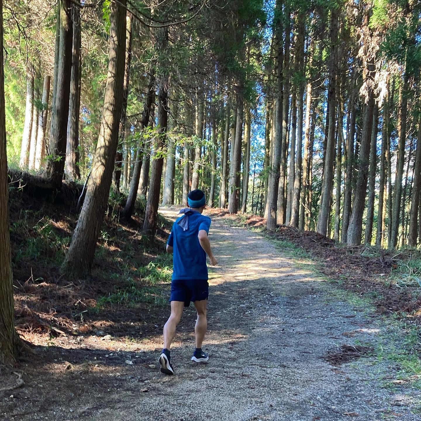 湯布院スポーツセンター クロスカントリーコース