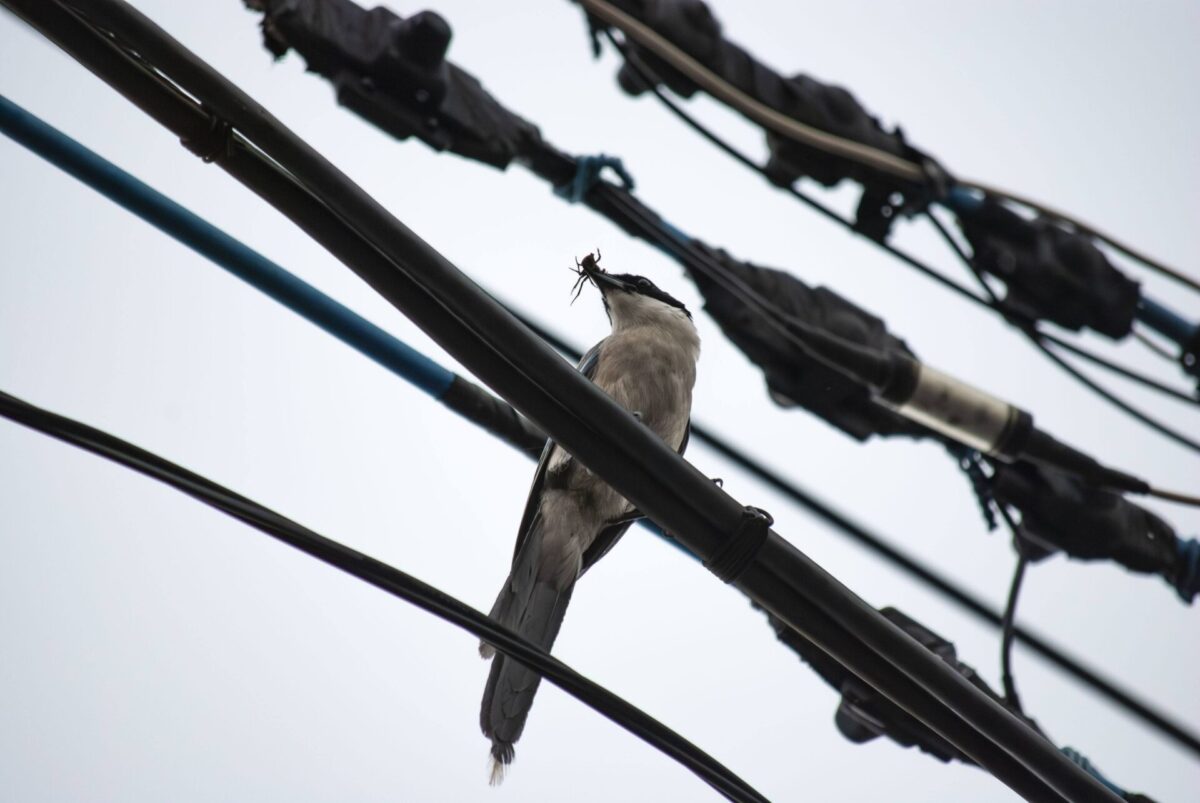 かたよりすぎない