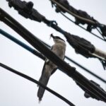 かたよりすぎない かたよりすぎない