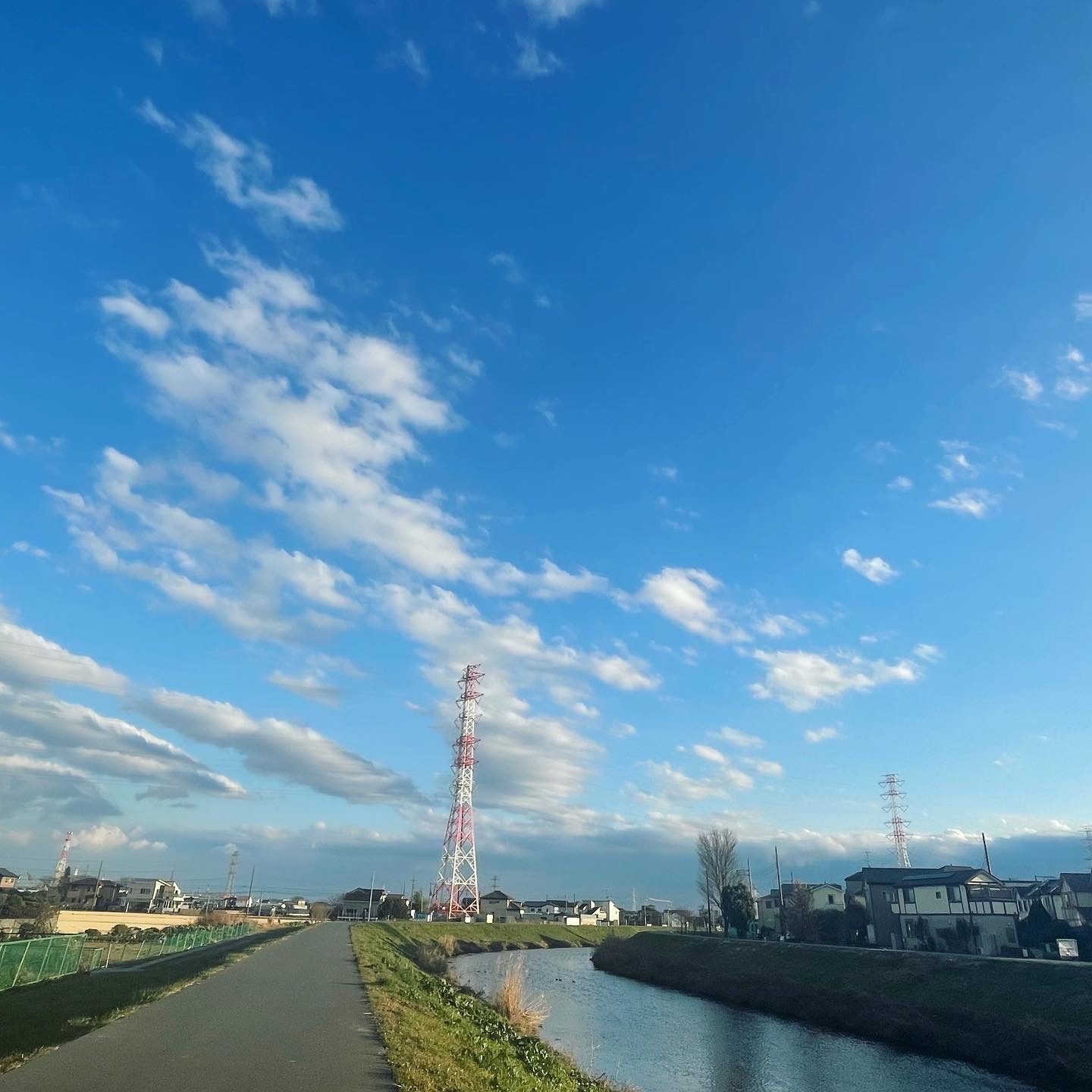 川の散歩は気持ちいい。寒いけど。