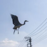 自分の体はいつまでもわからない 自分の体はいつまでもわからない