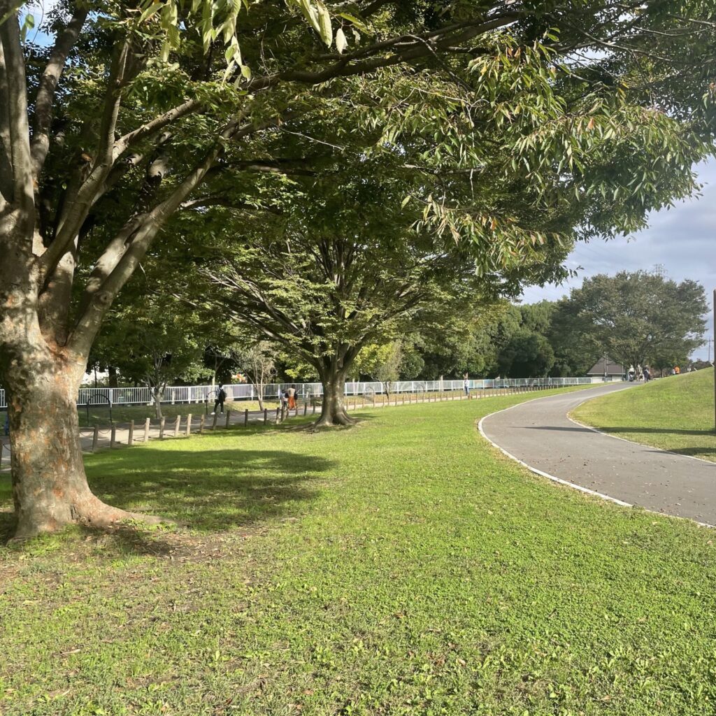 県民健康福祉村