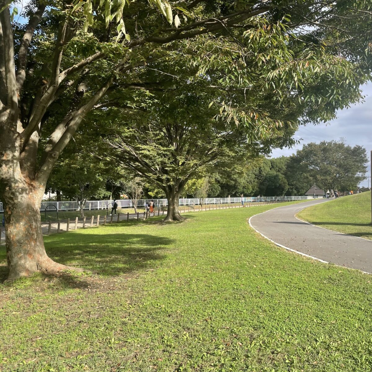 コバトン駅伝に向けて コバトン駅伝に向けて