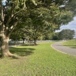 コバトン駅伝に向けて