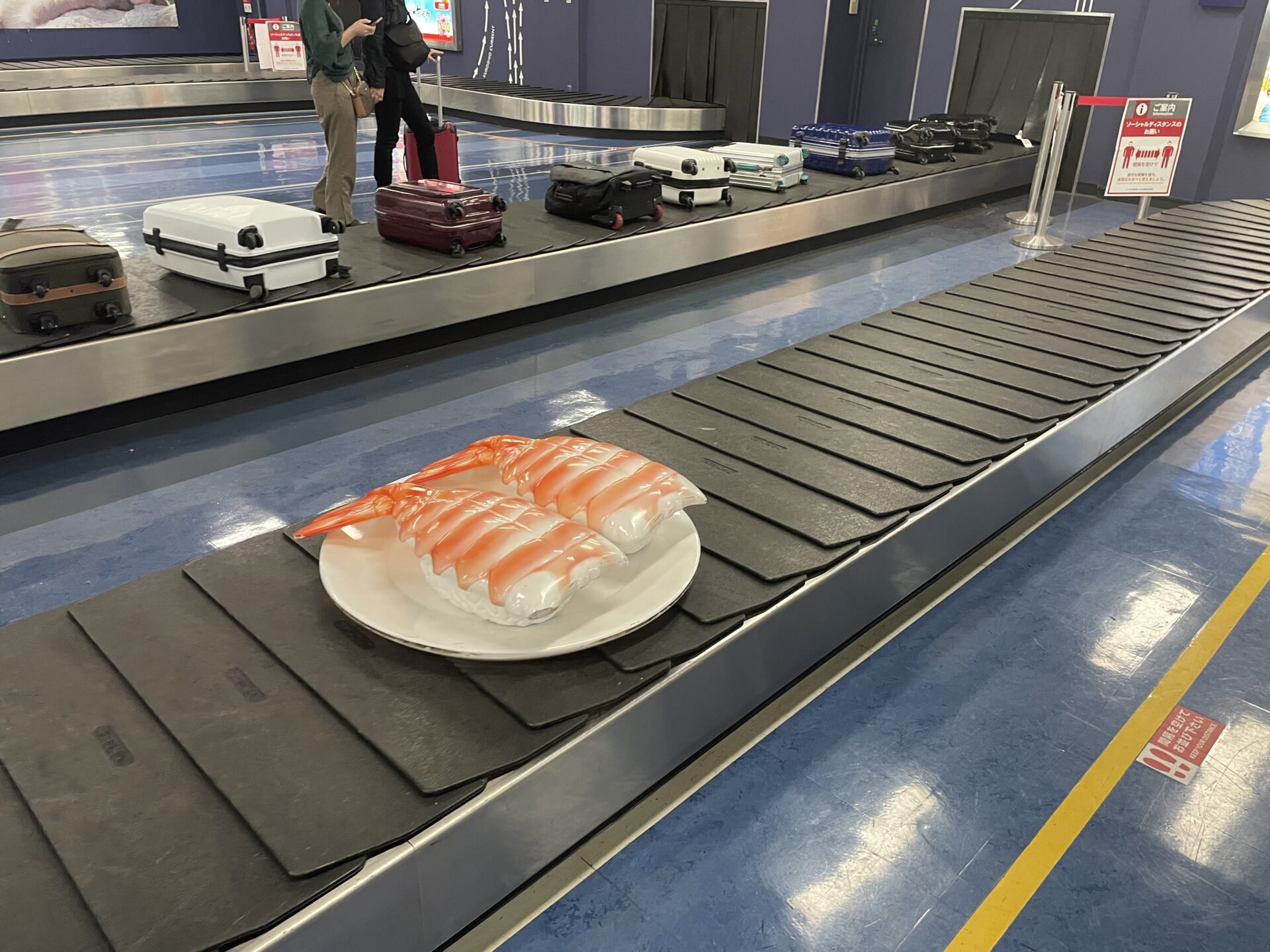 大分空港のエビ