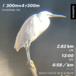 昼のたのしみ 昼のたのしみ