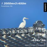 タレたらおトク