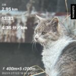 レンズたのしい