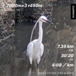 キライをスキに キライをスキに