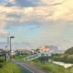 動きすぎるのは吉か凶か 動きすぎるのは吉か凶か