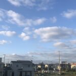 センバルサシコミ