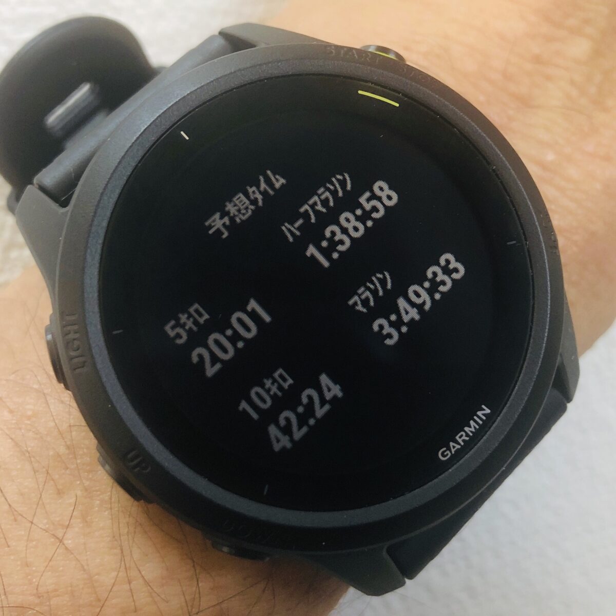 どこに向かうか