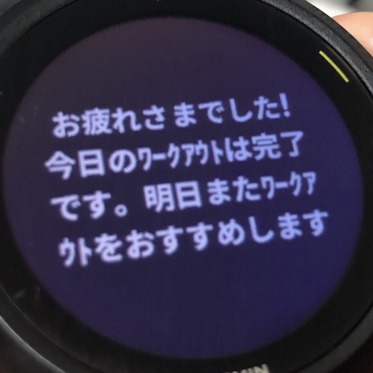 本日のオススメ