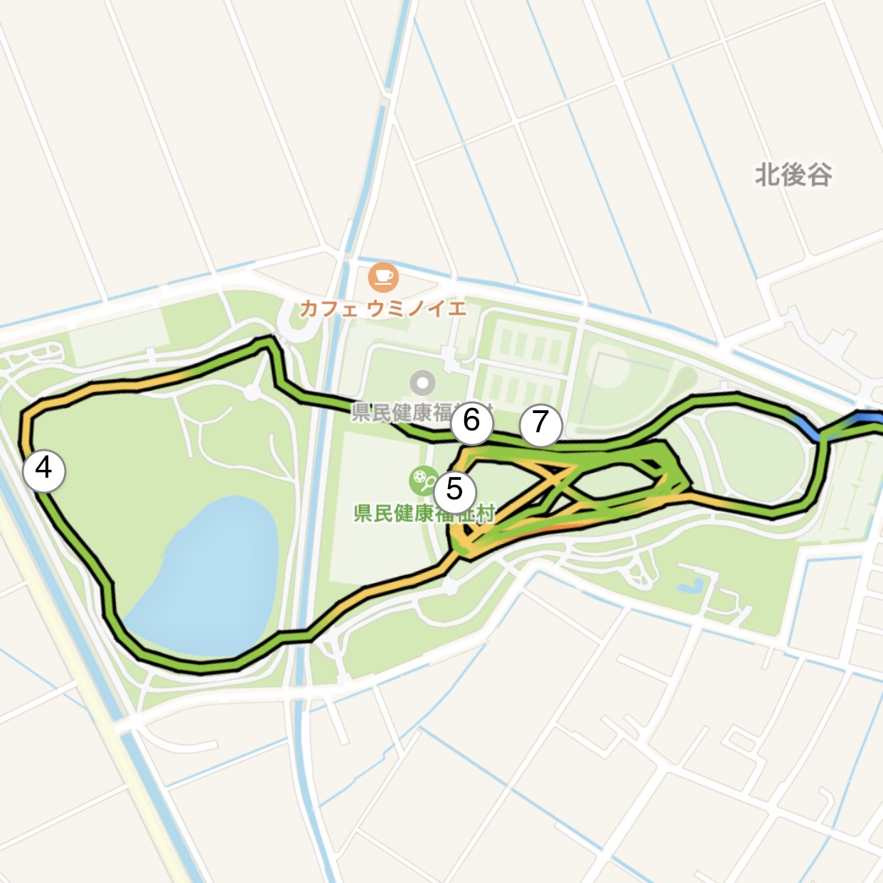 真ん中の芝生エリアをグリグリ