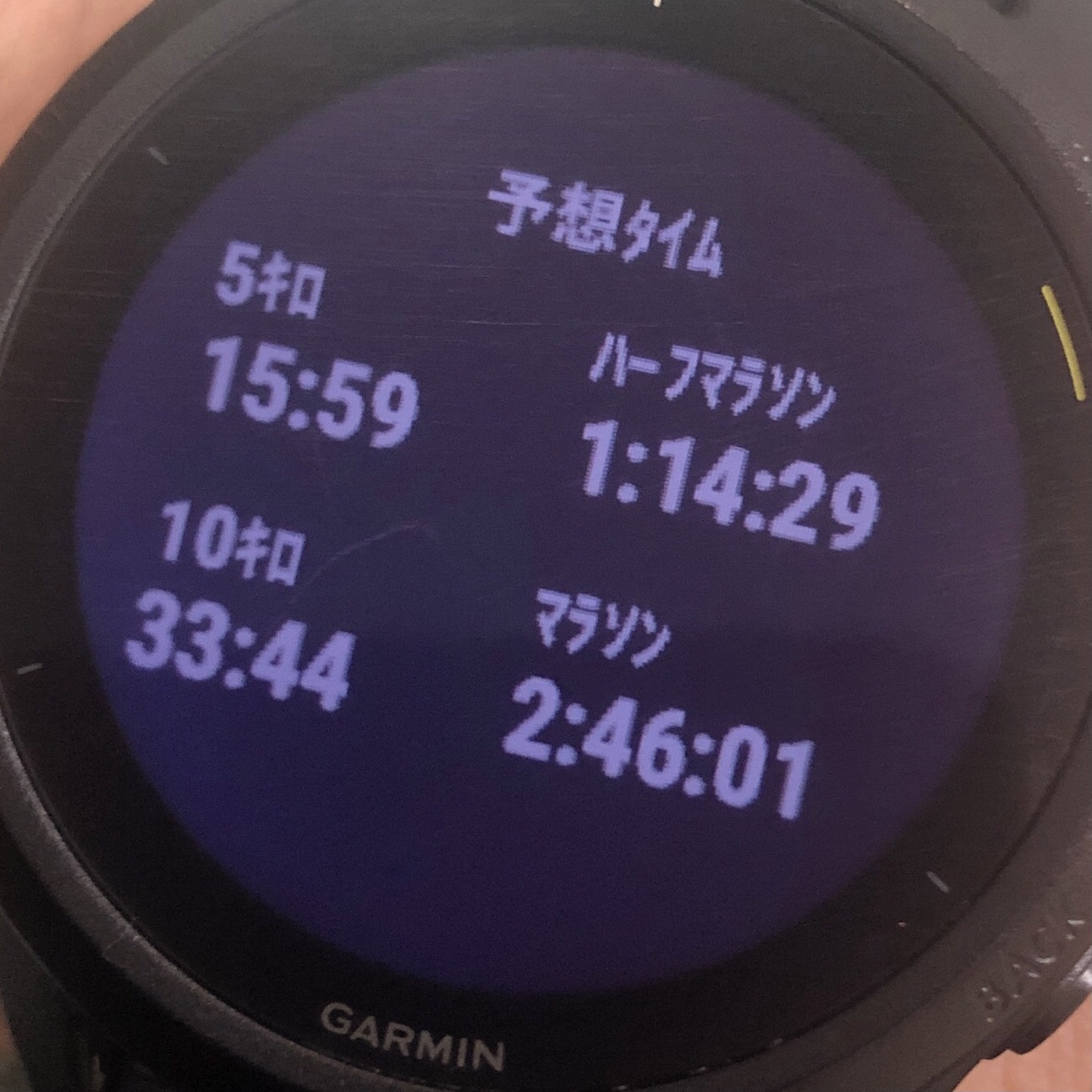 フルの方が易しめ。5km〜ハーフは今の状態ではだいぶ厳しい／(^o^)＼​