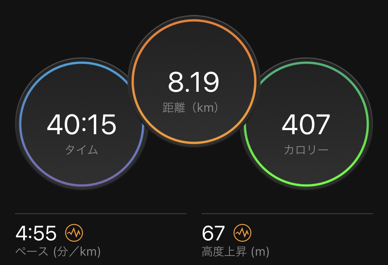 8.2km 4'55/km​