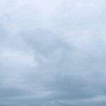 雨天ナガシ右ハム 雨天ナガシ右ハム