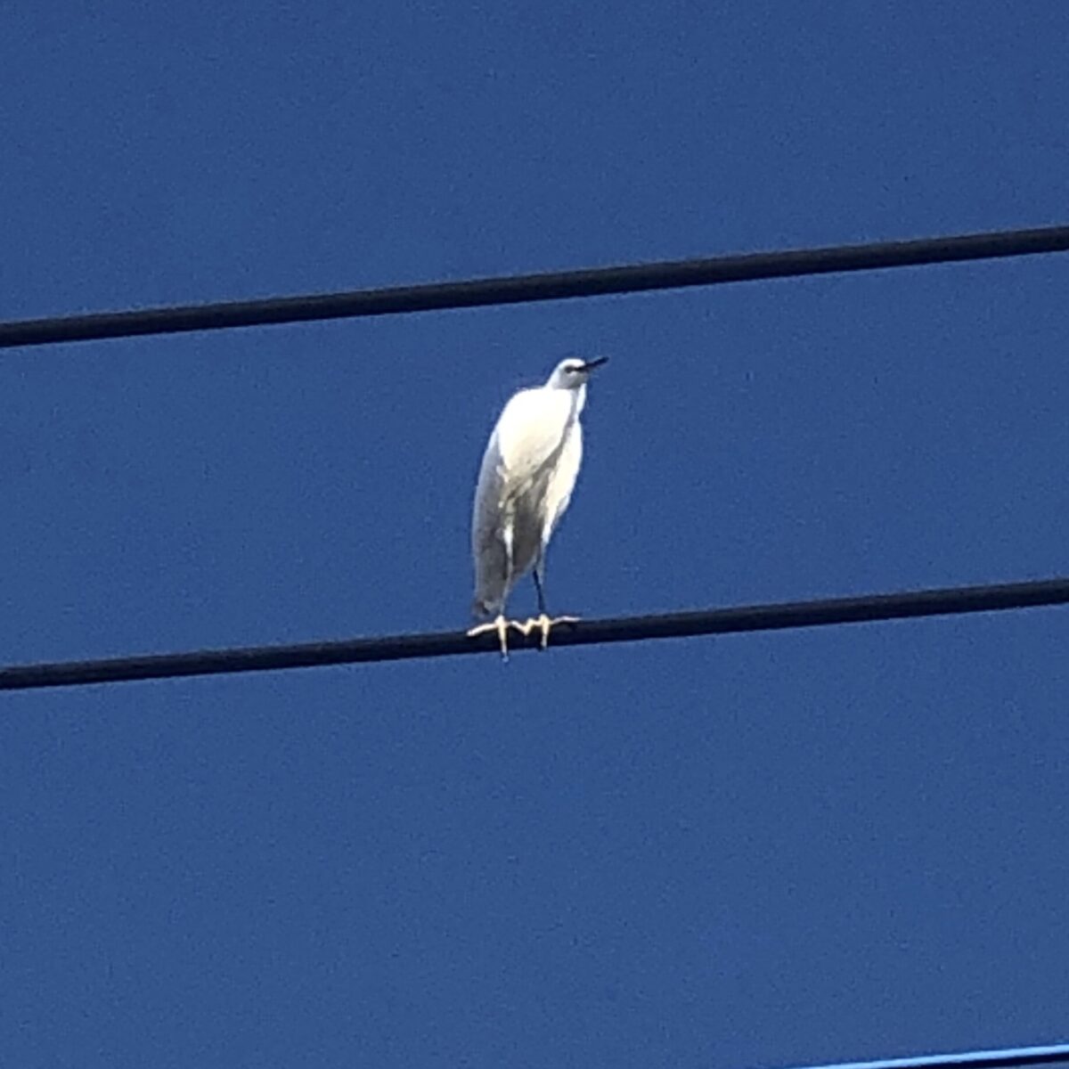 満足しないことに満足する 満足しないことに満足する