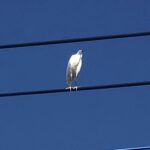 満足しないことに満足する