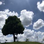 上尾市選手権 1500m 4’18″07