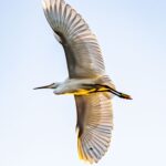 満点の配分 満点の配分