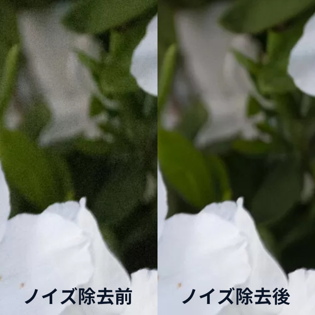 ノイズの除去前・除去後